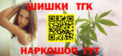 тгк Славгород
