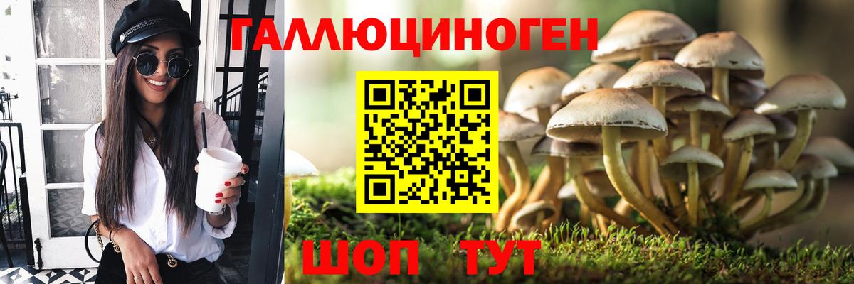 Галлюциногенные грибы ЛСД Нерюнгри
